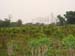 Fer_002_resize