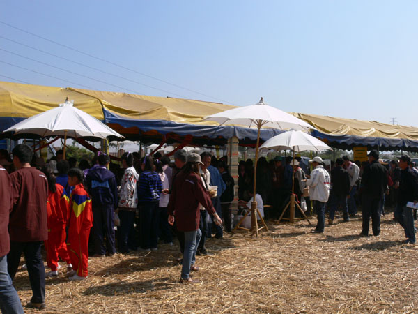 P1180503