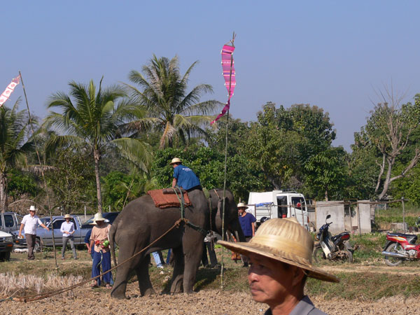 P1170846