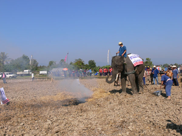 P1170903