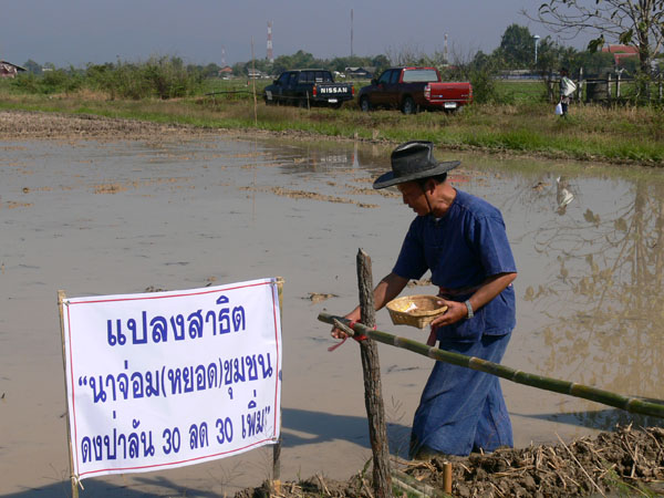 P1170909