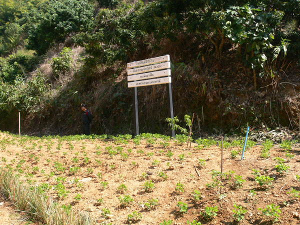 P1170555